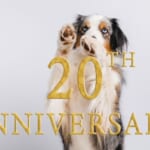 原因療法・食事療法の須崎動物病院が開設20周年！