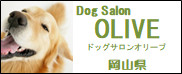 Dog Salon OLIVE