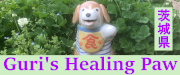 Guri’s Healing Paw