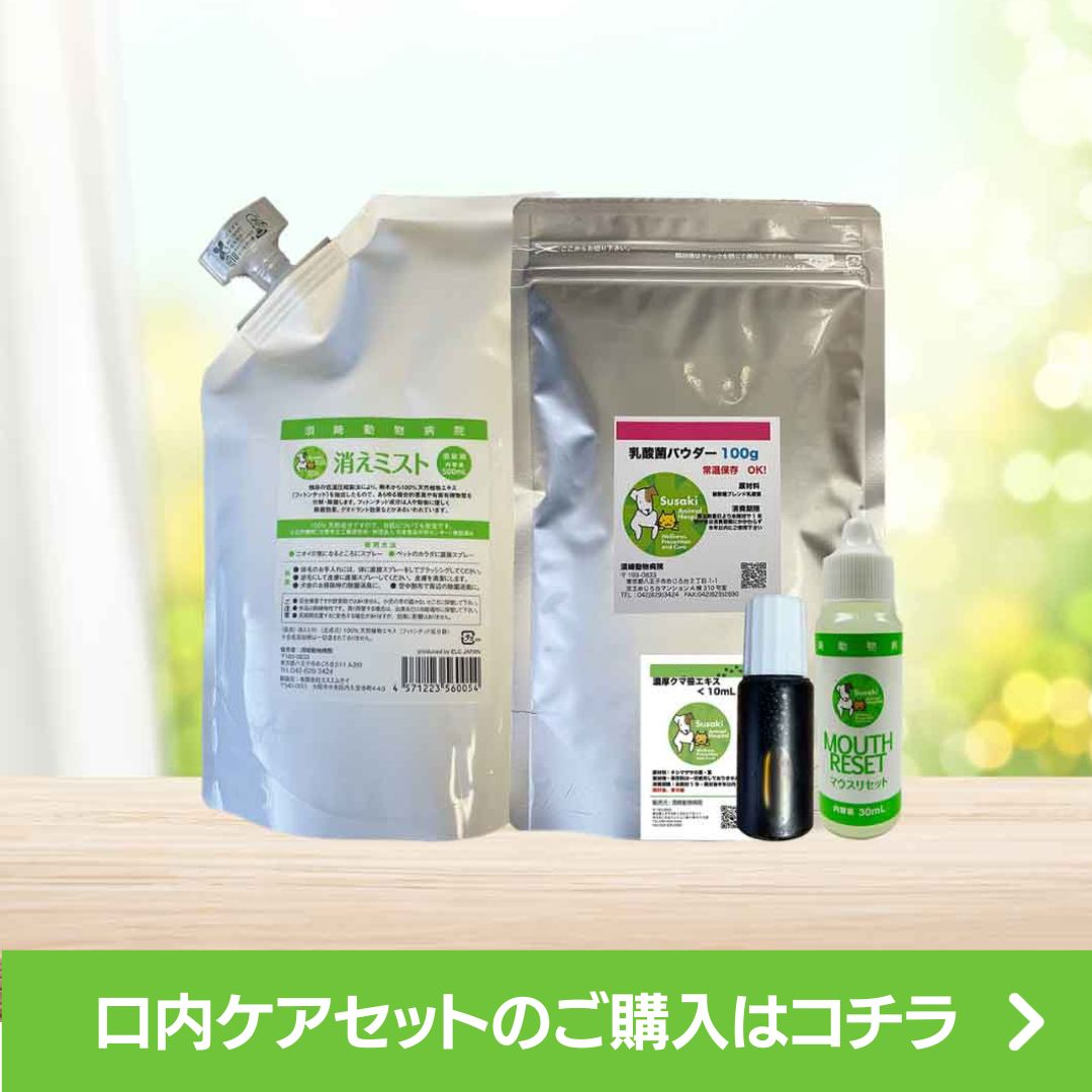 口内ケアセット