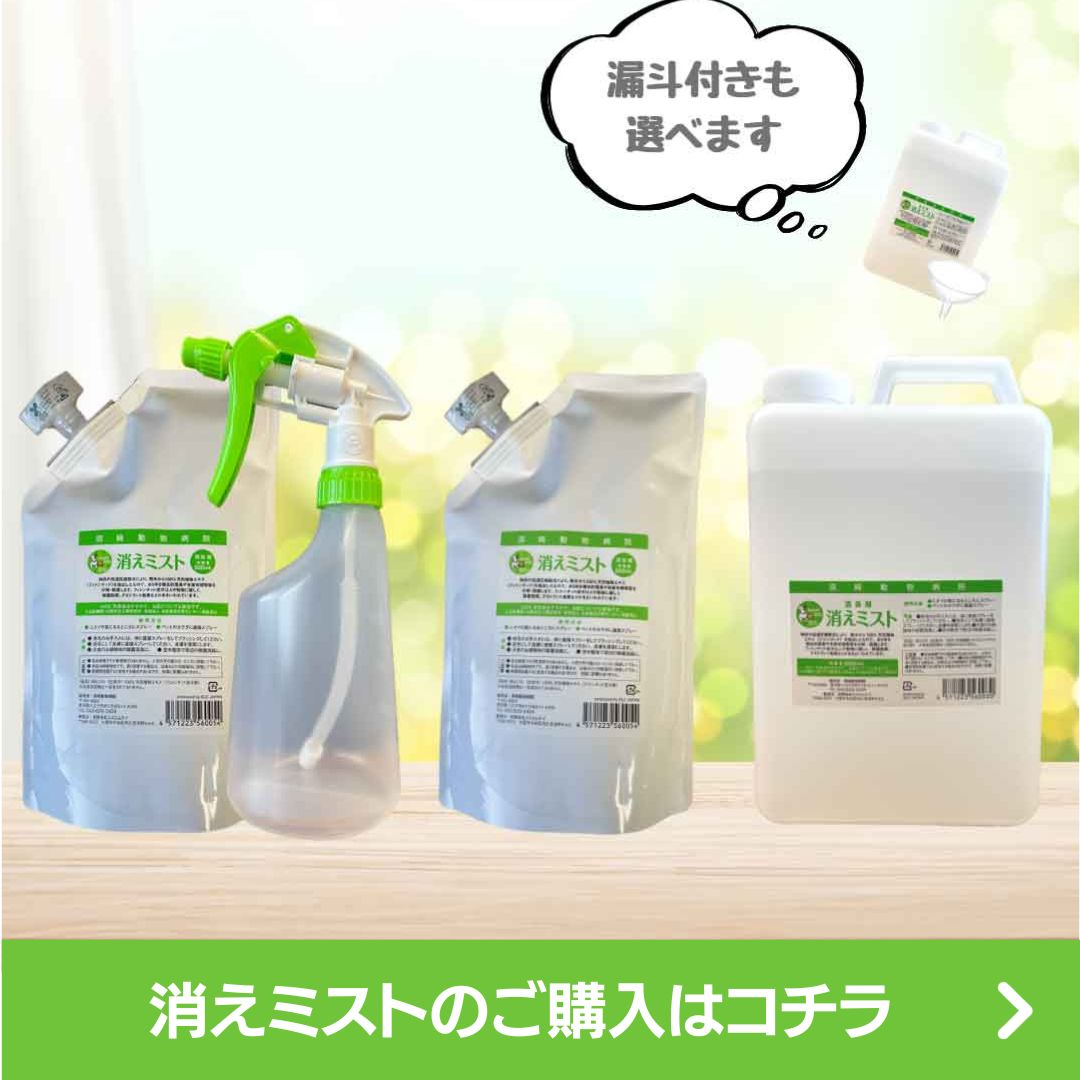 消えミスト