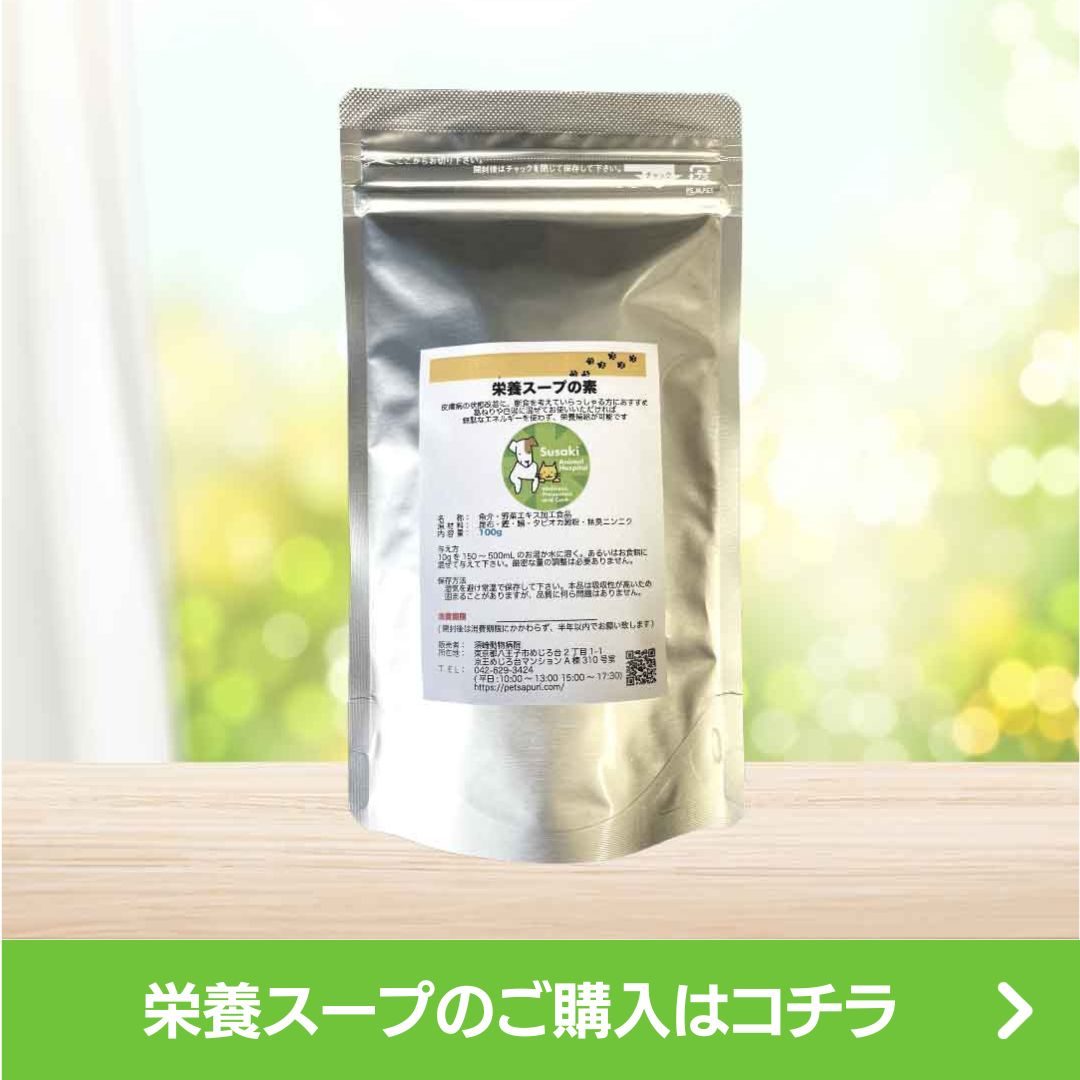 栄養スープの素