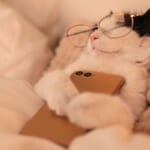 睡眠時間と体調の関係→愛犬・愛猫の寝ている時間が増えた理由とは？