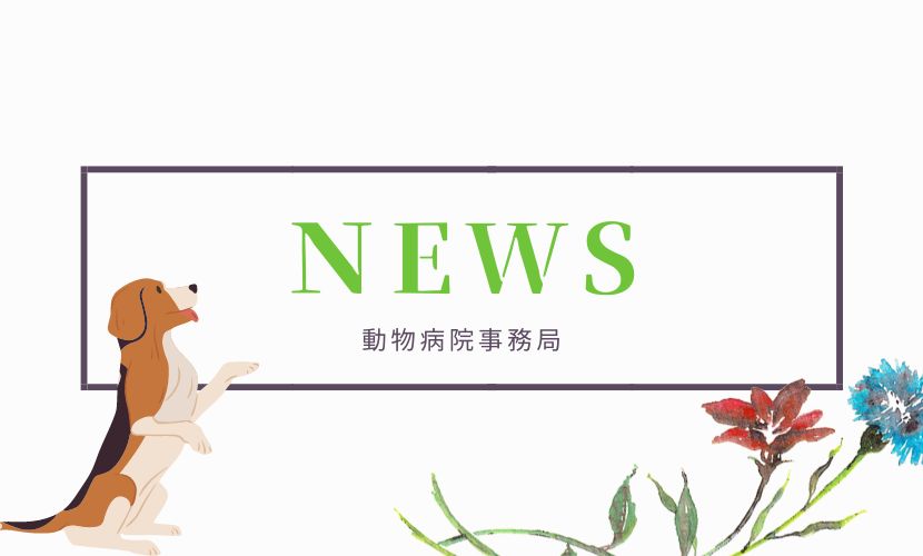 須崎動物病院_news