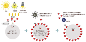 エアラクアの光触媒作用（ヒドロキシラジカル）で臭い成分やウイルス、細菌を二酸化炭素と水に分解する