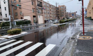 20250319_須崎動物病院前の道路の雪の状況