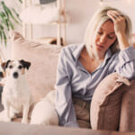 飼い主の不安は犬や猫に伝わる？最新研究でわかった心の影響