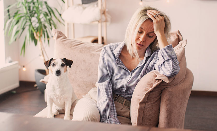 飼い主の不安は犬や猫に伝わる?最新研究でわかった心の影響