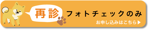 フォトチェックのみお申込みはこちら